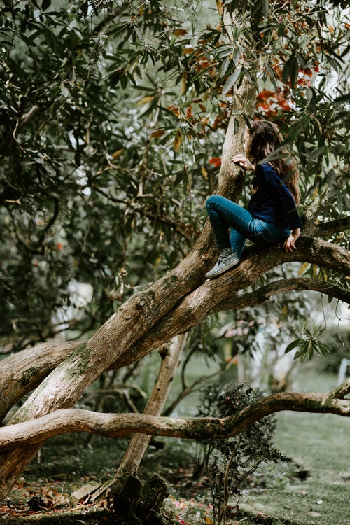 jesenske fotografije za instagram - dekle na drevesu