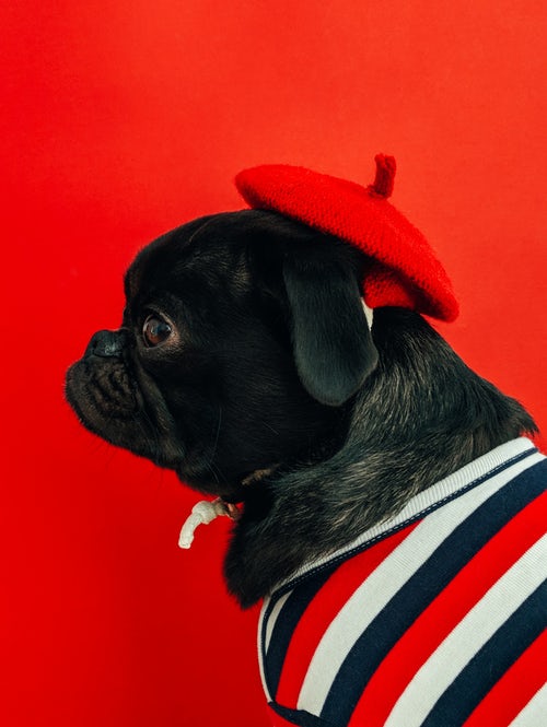 jesenske foto ideje za instagram - moliček v rdeči bareti